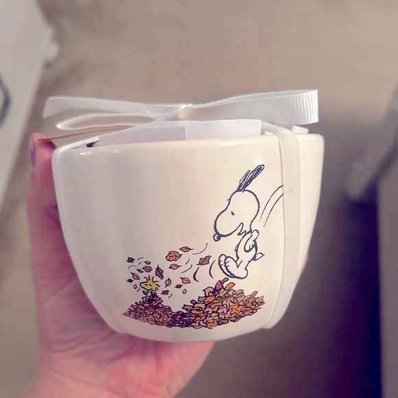 Rae Dunn Other - Snoopy Rae Dunn  fall measuring cups